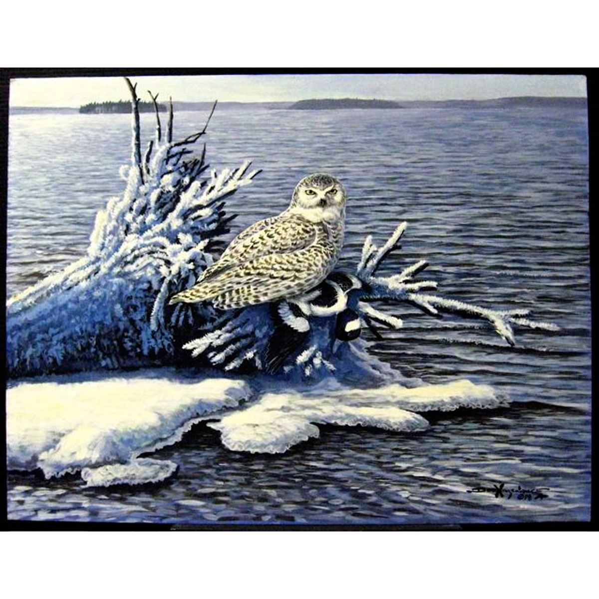 DON NINGEWANCE (NATIVE CANADIAN