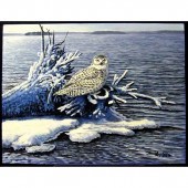 DON NINGEWANCE (NATIVE CANADIA