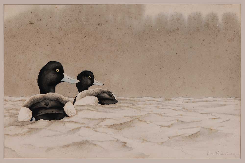 Don Richard Eckelberry (New York,