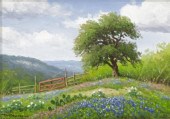 DON WARREN (TX, 1935-2006) 'TH