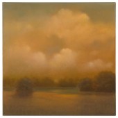 DONNA MCGINNIS (WASHINGTON/CAL