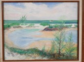 DORA MCCOLLISTER, SARASOTA BEA