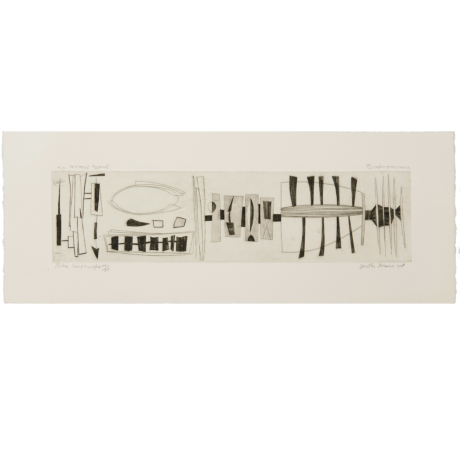 DOROTHY DEHNER, MODERNIST