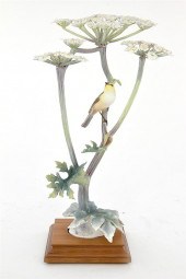 Dorothy Doughty Chiff Chaff an