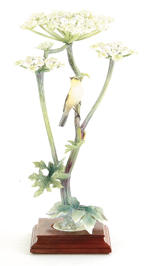 Dorothy Doughty Chiff Chaff
