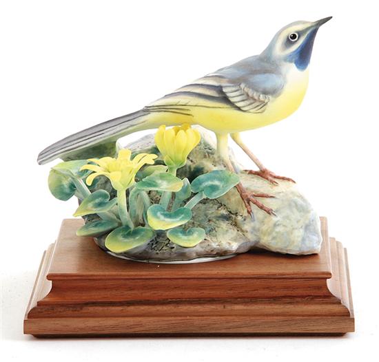 Dorothy Doughty Grey Wagtail