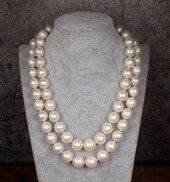DOUBLE STRAND AUSTRALIAN SOUTH