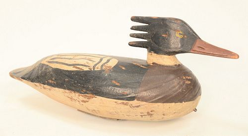 DOUG JESTEN, CHINCOTEAGUE, VA, DUCK