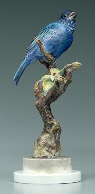 Doughty Indigo Bunting cock,
