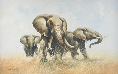 DOUGLAS VAN HOWD (AMERICAN