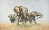 DOUGLAS VAN HOWD (AMERICAN B.1