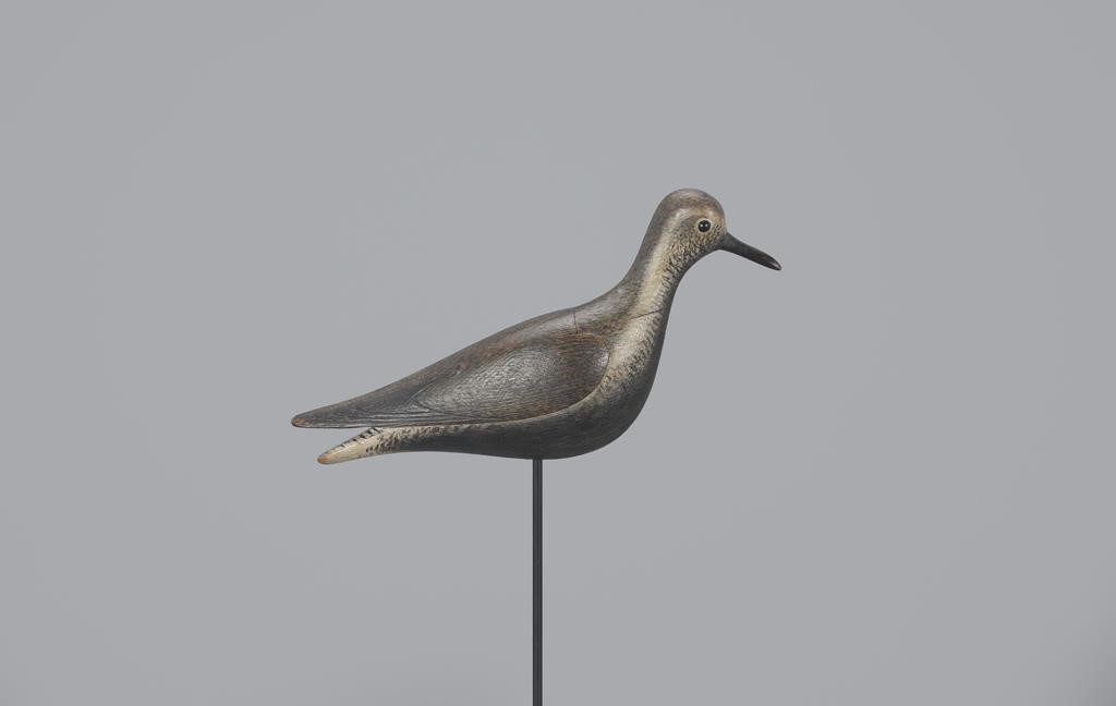 DOVETAILED GOLDEN PLOVER WITH