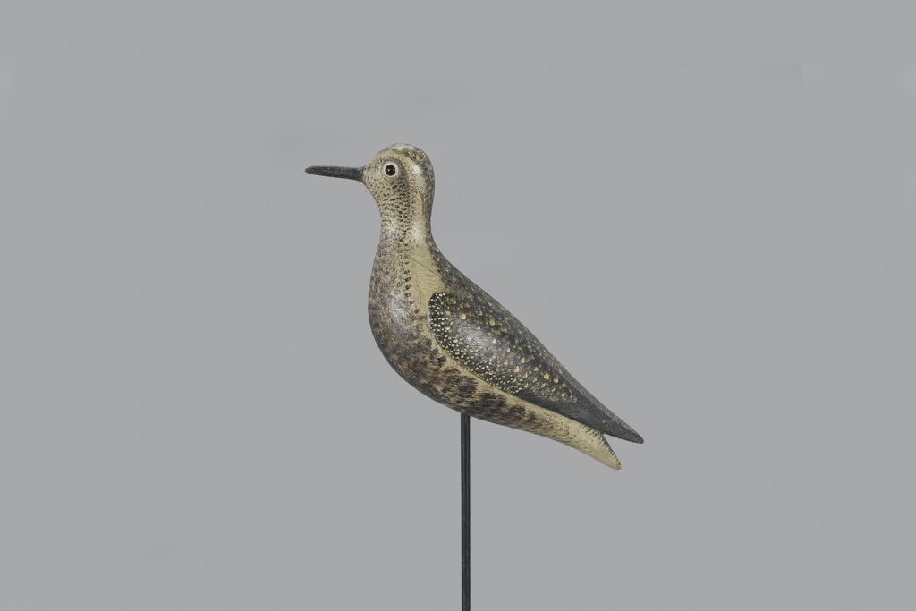 DOVETAILED GOLDEN PLOVERMark S.