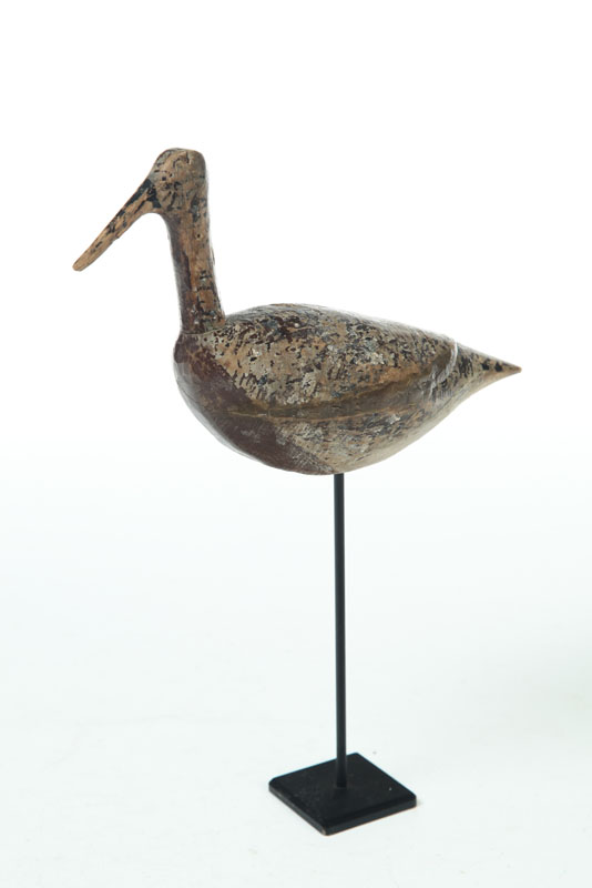 DOWITCHER SHOREBIRD.  North
