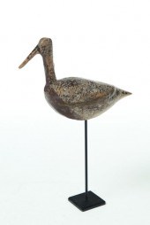 DOWITCHER SHOREBIRD.  North Ca