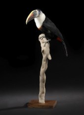 Dramatic Taxidermist Specimen