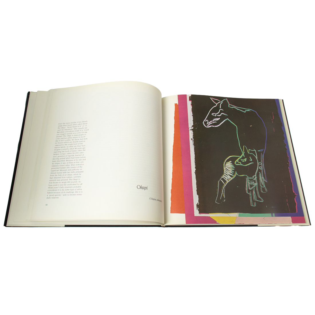 DRAWING AND BOOK, ANDY WARHOL