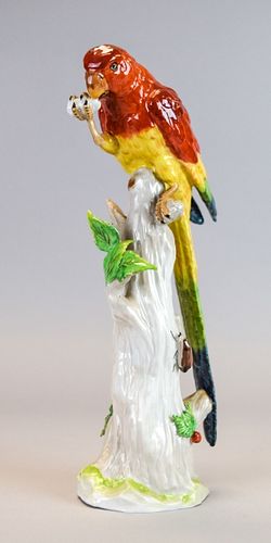 DRESDEN PORCELAIN PARROTGerman