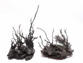 DRIFTWOOD & AQUATIC BLACK PAIN