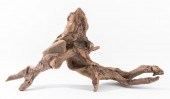 DRIFTWOOD SCULPTURE W/ EMBEDDE