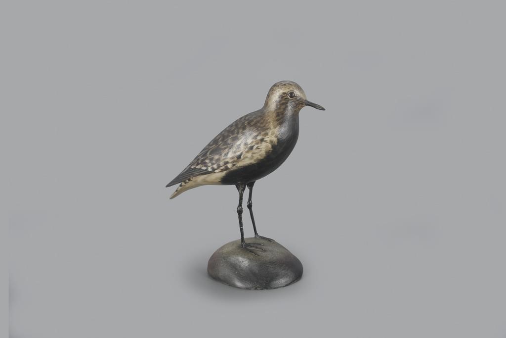 DU PONT CROWELL BLACK-BELLIED