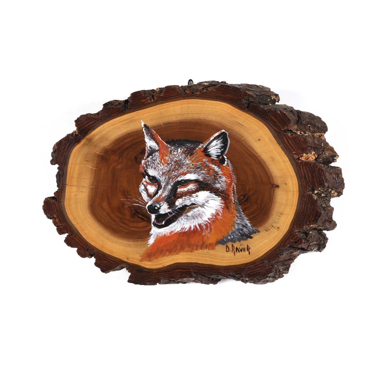 DUANE RAVER (NC, 1927-2022), FOX