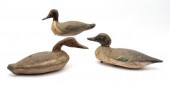 DUCK DECOYS (3), 1 CANVAS COVE