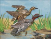 DUCKS ON A POND, THREE-DIMENSI