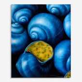 DURAN "CLAIR DE LUNE II" (2010
