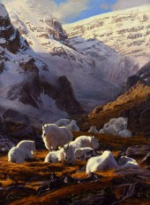 DUSTIN VAN WECHEL (1974-), HID
