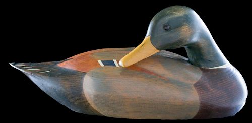 DUX' DEKES SIGNED MALLARD