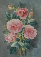 E. KRATZER (19TH CENTURY), STI