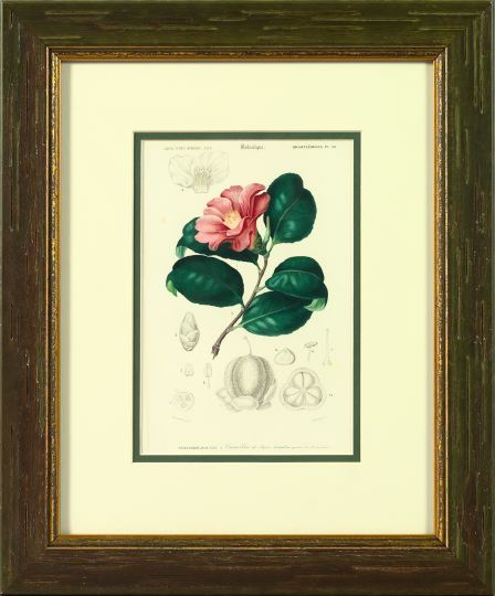 E. Maubert (French, 19th