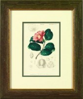 E. Maubert (French, 19th Centu