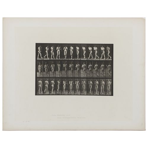 EADWARD MUYBRIDGE (1830-1904):