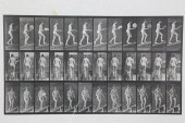 EADWEARD MUYBRIDGE ANIMAL LOCO