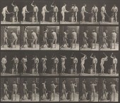 EADWEARD MUYBRIDGE (ENGLISH, 1