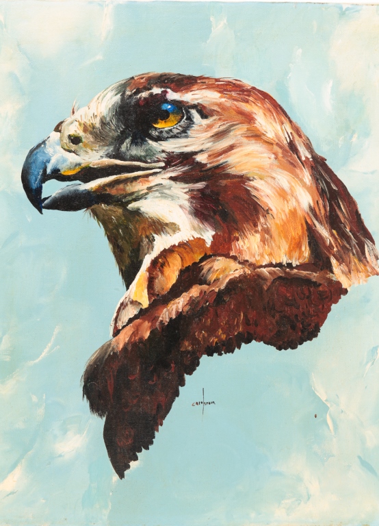 EAGLE PORTRAIT BY CAROL BRAUN.