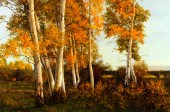 EARL CARPENTER (1931-), FALL I