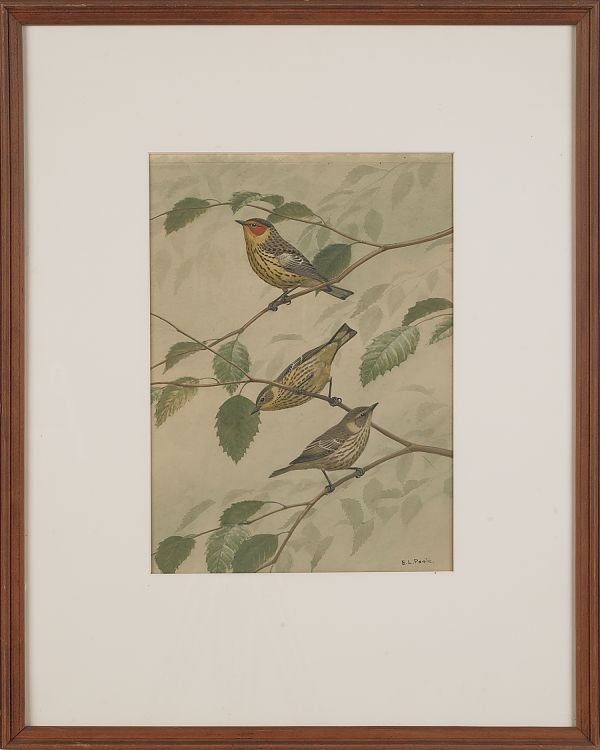 Earl Lincoln Poole (American