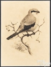 EARL LINCOLN POOLE, PENCIL DRA
