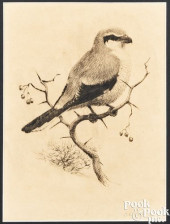 EARL LINCOLN POOLE, PENCIL DRA