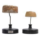 EARLY 20TH CENTURY DENTITION M