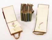 Early 20th Century/Botanical S