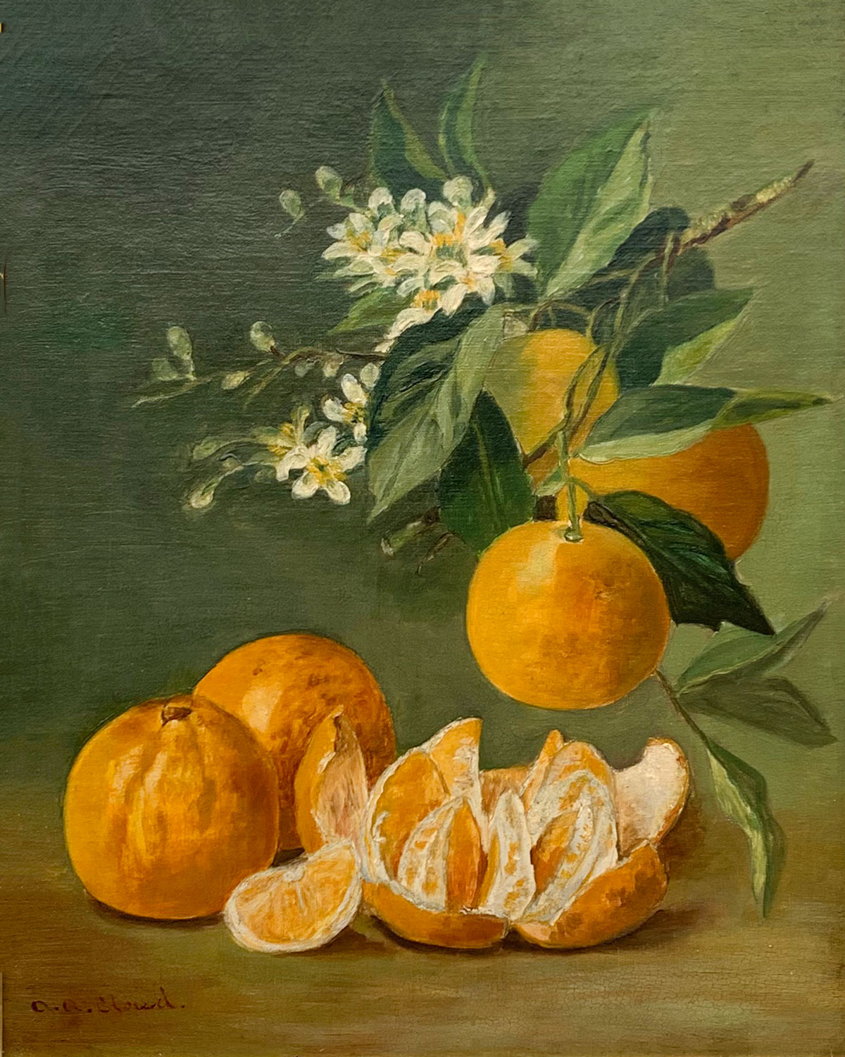 EARLY 20TH LATE 19TH CENTURY