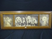 Early American Foxhound Founda