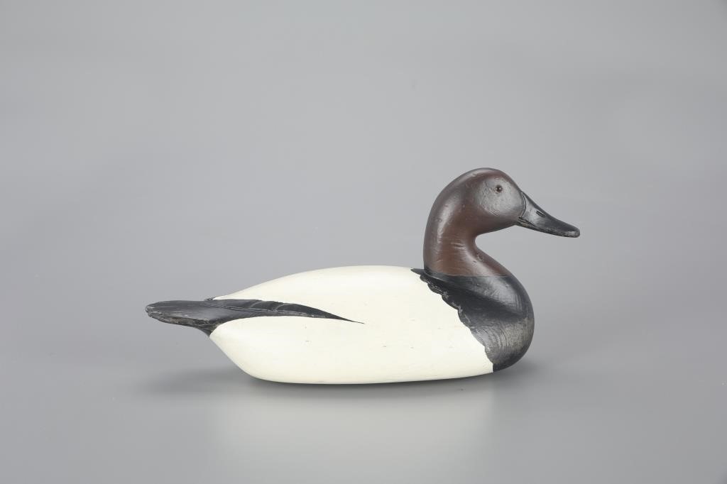 EARLY CANVASBACK"Fresh Air Dick"