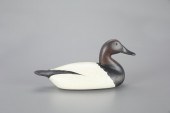 EARLY CANVASBACK"Fresh Air Dic
