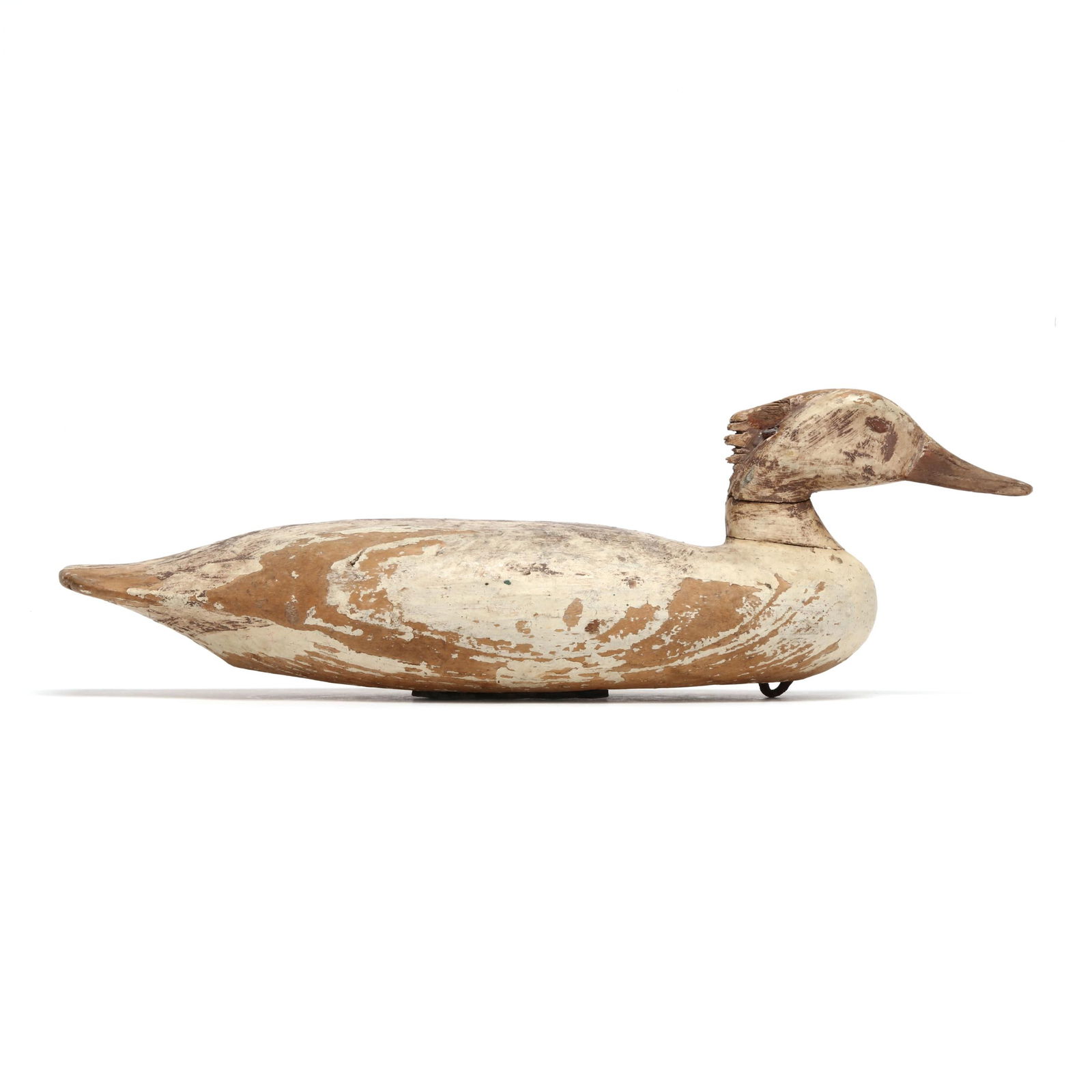 EARLY CHINCOTEAGUE HEN