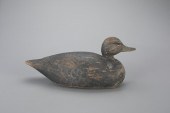 EARLY CROSSED-WING BLACK DUCKA